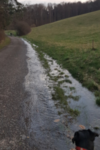 Wolfgangsee läuft über...