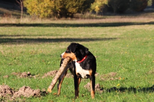 Goldener Oktober 2018