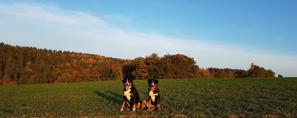 Was für ein Novemberwetterchen :-)