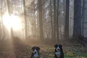 Tiefenort lag im Nebel versteckt