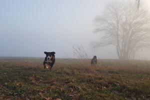 Tiefenort lag im Nebel versteckt