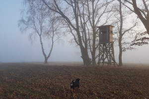 Tiefenort lag im Nebel versteckt