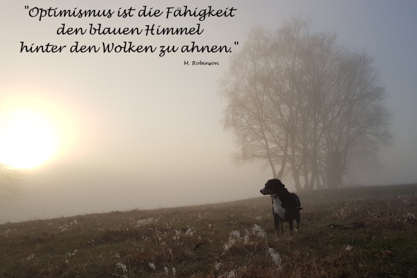 Prost Neujahr 2019