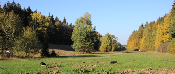 Goldener Oktober 2018