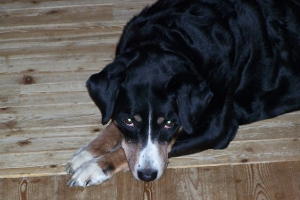 Anna-Frida 11 Jahre