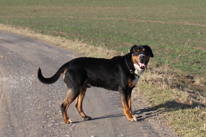 Bruno zu Besuch