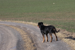 Bruno zu Besuch