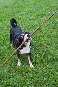 11 Jahre alt