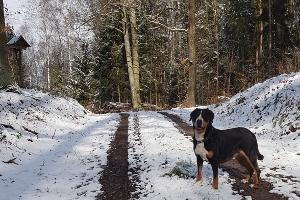 Winterspaziergang rund um Tiefenort