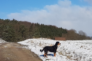 Winterspaziergang rund um Tiefenort