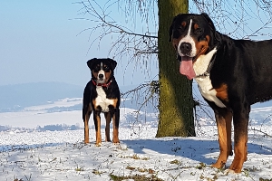 Winterspaziergang rund um Tiefenort