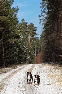 Winterspaziergang rund um Tiefenort