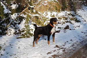 Winterspaziergang rund um Tiefenort
