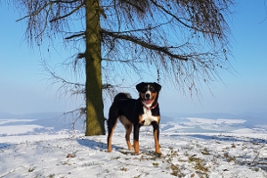 Winterspaziergang rund um Tiefenort