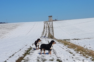 Winterspaziergang rund um Tiefenort