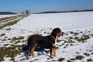 Winterspaziergang rund um Tiefenort