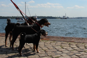 Besuch in Kiel