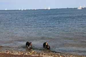 Besuch in Kiel