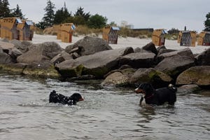 Besuch in Kiel
