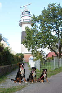 Kiel