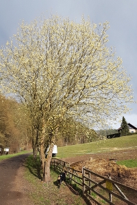Aprilwetter im März