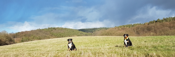 Aprilwetter im März