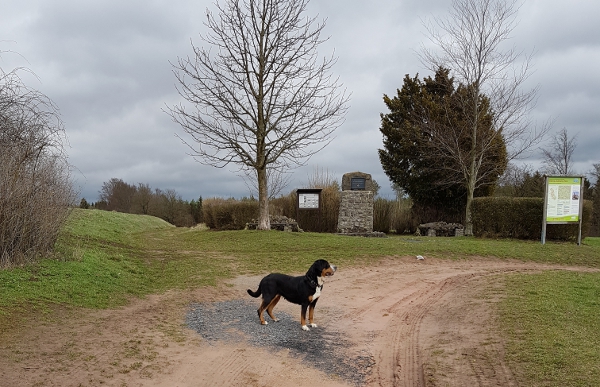 Cara März 2019 am Zeppelinstein