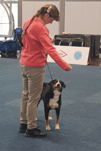 Ellie Best Veteran GWS 2019