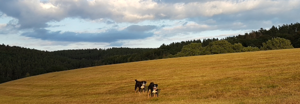 Septemberspaziergang
