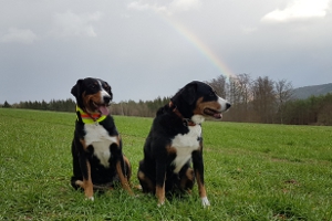 Ellie Trixie und der Regenbogen :-)