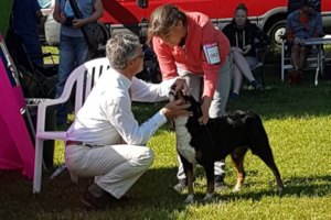 Ellie BOB in Meisdorf