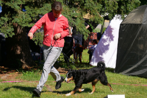 Ellie Meisdorf 2019 - BOB
