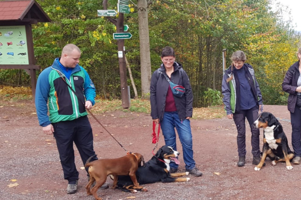 Sennenhundewanderung