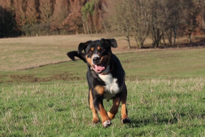 Spaziergang am 2. Januar