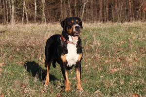 Spaziergang am 2. Januar