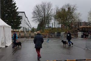 CACIB Chemnitz 2019