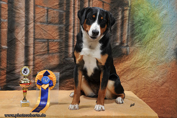 CACIB Chemnitz 2019