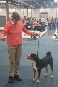 Jocy BOB GWS 20197