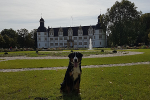 Clubjugendsiegerin 2019