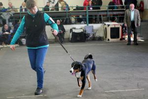 Jocy´s erste Ausstellung