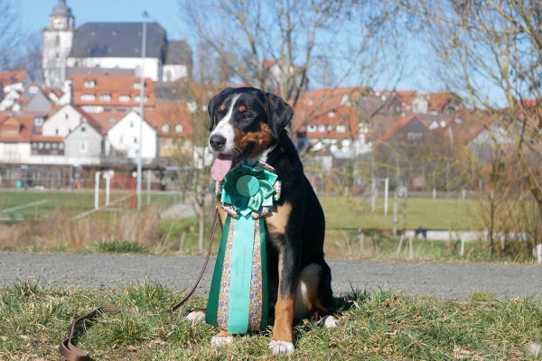 Jocy´s erste Ausstellung