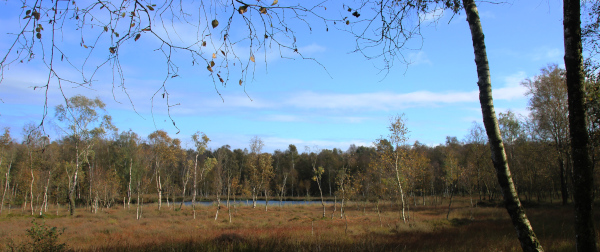 Kaltenhofer Moor
