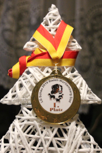 Medaille Kappel