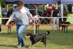Apolda 2019