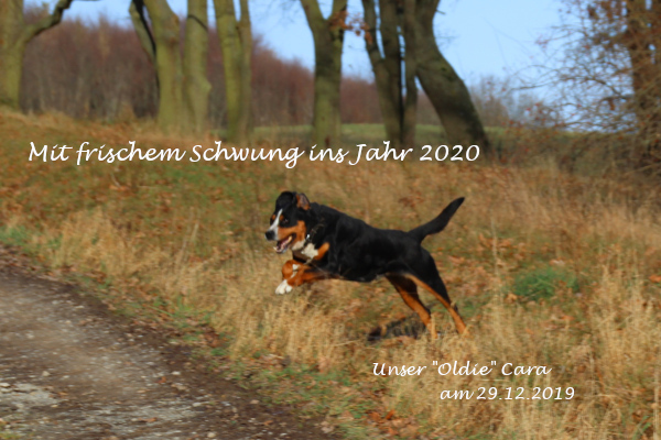Sprung ins neue Jahr