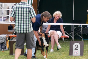 Apolda 2019