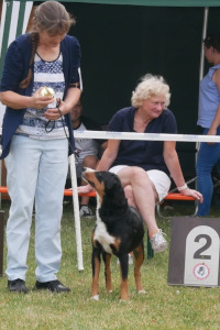 Apolda 2019