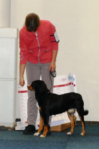 Trixie Vorzüglich
