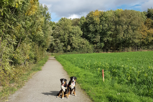 Spaziergang Dortmund