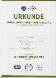 Jocy vom Försterrain Europajugendsiegerin 2019